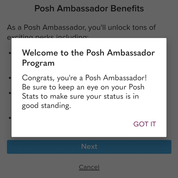 ✨️Poshmark Ambassador ✨️ - Picture 2 of 2